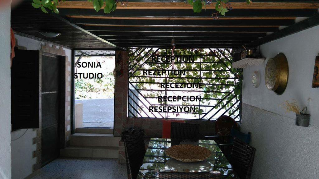 Sonia Studios Nees Kidonies Exterior foto